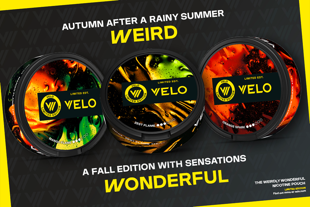 THE NEW LIMITED EDITION : AUTUMN SENSATIONS