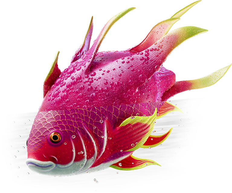 Velo Dragon Fruit fish