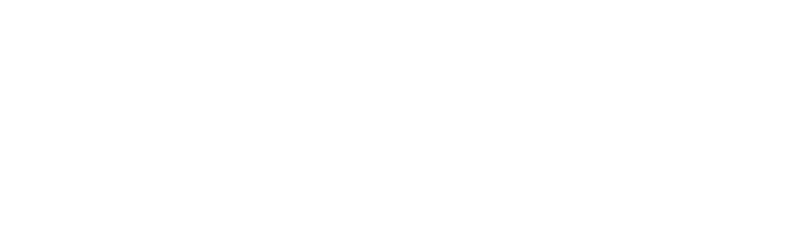 VELO Nicotine Pouches